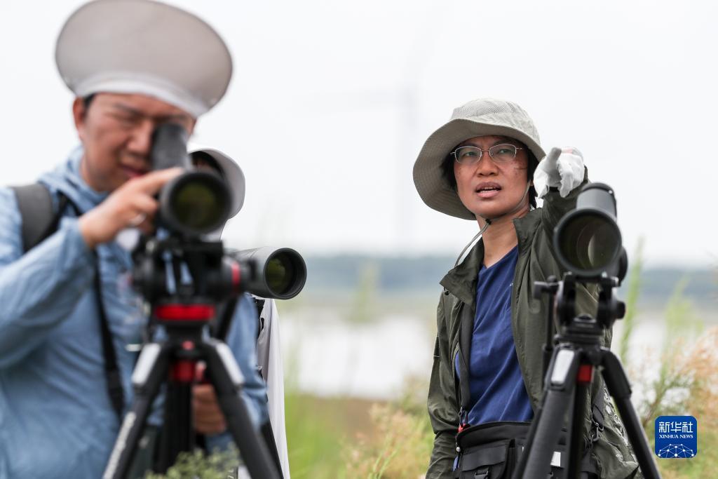 天天斗地主真人版 官网
